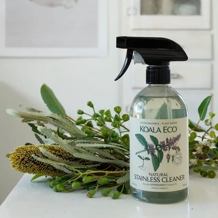 Koala Eco Peppermint Stainless Cleaner